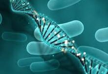 الإستروجين ولصقات الإستروجين