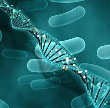 الإستروجين ولصقات الإستروجين