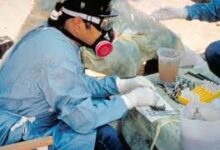 Hantavirus