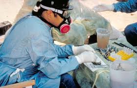 Hantavirus